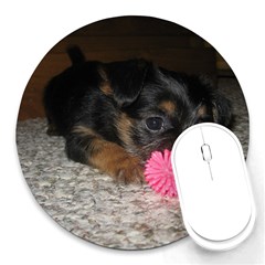 Puppy With A Chew Toy Round Mousepads by trendistuff