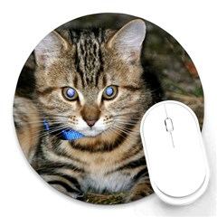 Blue-eyed Kitty Round Mousepads by trendistuff