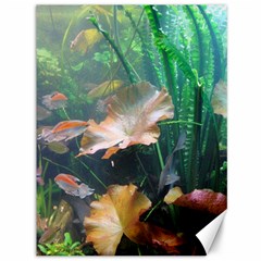 Marine Life Canvas 36  X 48   by trendistuff