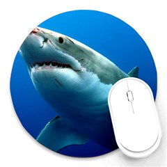 Great White Shark 3 Round Mousepads by trendistuff
