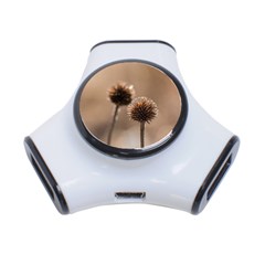 Withered Globe Thistle In Autumn Macro 3-port Usb Hub by wsfcow