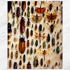 Insect Collection Canvas 16  X 20   by Nexatart