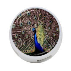 Multi Colored Peacock 4-port Usb Hub (two Sides)  by Simbadda