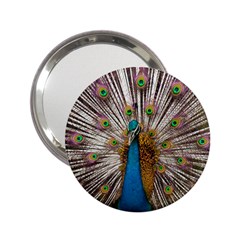 Indian Peacock Plumage 2 25  Handbag Mirrors by Simbadda