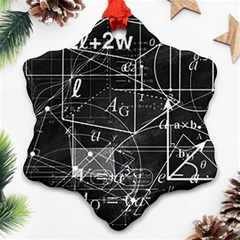 School Board  Snowflake Ornament (two Sides) by Valentinaart
