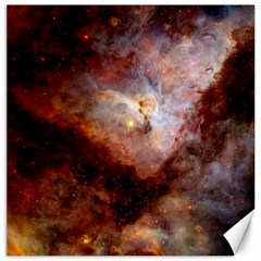 Carina Nebula Canvas 20  X 20   by SpaceShop