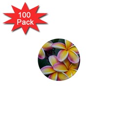 Premier Mix Flower 1  Mini Magnets (100 Pack)  by alohaA