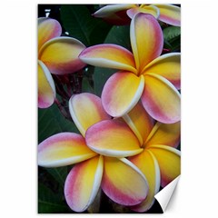 Premier Mix Flower Canvas 12  X 18   by alohaA