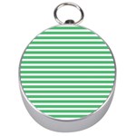 Horizontal Stripes Green Silver Compasses Front