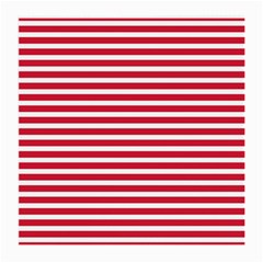 Horizontal Stripes Red Medium Glasses Cloth by Mariart