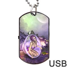 Wonderful Fairy In The Wonderland , Colorful Landscape Dog Tag Usb Flash (two Sides) by FantasyWorld7