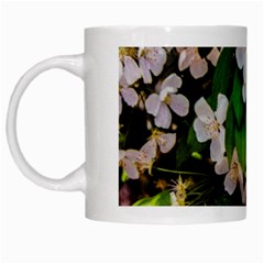 Tree Blossoms White Mugs by dawnsiegler