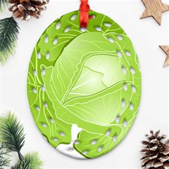Cabbage Leaf Vegetable Green Ornament (oval Filigree) by Mariart