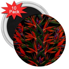 Bird Of Paradise 3  Magnets (10 Pack)  by Valentinaart