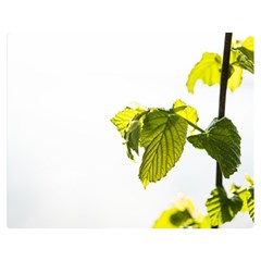 Leaves Nature Double Sided Flano Blanket (medium)  by Nexatart