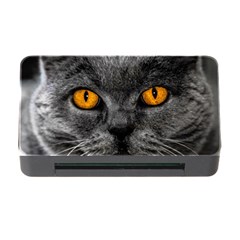 Cat Eyes Background Image Hypnosis Memory Card Reader With Cf by BangZart