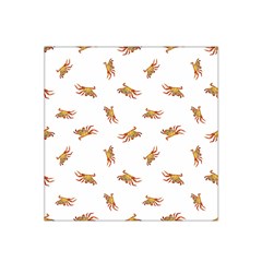 Crabs Photo Collage Pattern Design Satin Bandana Scarf by dflcprints
