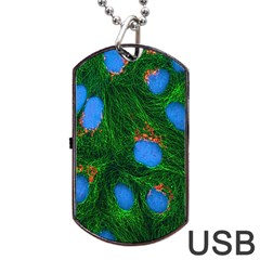 Fluorescence Microscopy Green Blue Dog Tag Usb Flash (two Sides) by Mariart