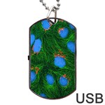 Fluorescence Microscopy Green Blue Dog Tag USB Flash (Two Sides) Front
