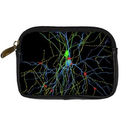 Synaptic Connections Between Pyramida Neurons And Gabaergic Interneurons Were Labeled Biotin During Digital Camera Cases by Mariart