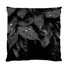 Black And White Leaves Photo Standard Cushion Case (two Sides) by dflcprintsclothing