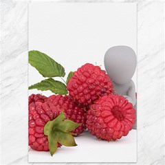 Fruit Healthy Vitamin Vegan Canvas 12  X 18   by BangZart