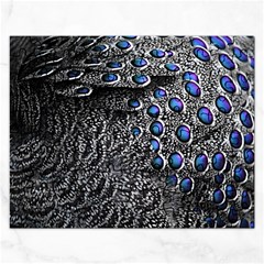 Feather Bird Bird Feather Nature Rectangular Jigsaw Puzzl by BangZart