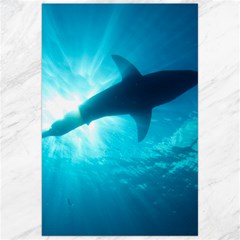 Great White Shark 6 Canvas 24  X 36  by trendistuff