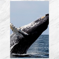 Humpback 2 Canvas 12  X 18   by trendistuff