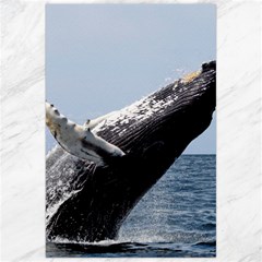 Humpback 2 Canvas 24  X 36  by trendistuff