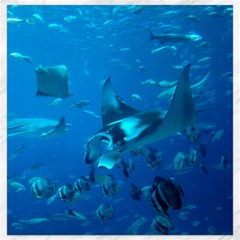 Manta Ray 2 Canvas 16  X 16   by trendistuff