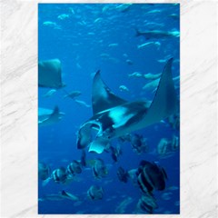 Manta Ray 2 Canvas 24  X 36  by trendistuff