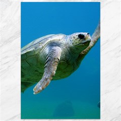 Sea Turtle 2 Canvas 12  X 18   by trendistuff