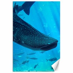 Whale Shark 2 Canvas 24  X 36  by trendistuff