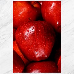 Apples 1 Canvas 24  X 36  by trendistuff