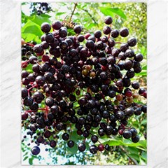 Elderberries Canvas 12  X 16   by trendistuff