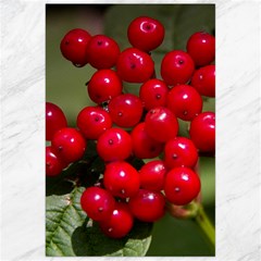 Red Berries 2 Canvas 24  X 36  by trendistuff