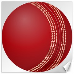 Cricket Ball Canvas 16  X 16   by Sapixe