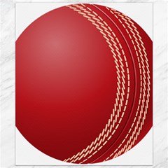 Cricket Ball Canvas 20  X 24   by Sapixe