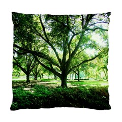 Highland Park 14 Standard Cushion Case (two Sides) by bestdesignintheworld