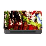 Collosium   Swards And Helmets 4 Memory Card Reader with CF Front