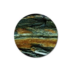 Tree In Highland Park Magnet 3  (round) by bestdesignintheworld