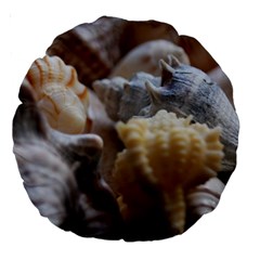 Seashells Large 18  Premium Round Cushions by StarvingArtisan