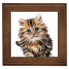 Kitten Mammal Animal Young Cat Framed Tiles by Simbadda