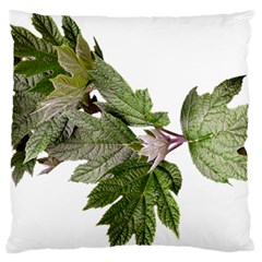 Leaves Plant Branch Nature Foliage Large Cushion Case (two Sides) by Sapixe