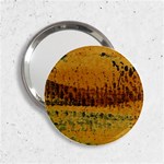 Fabric Textile Texture Abstract 2.25  Handbag Mirrors Front