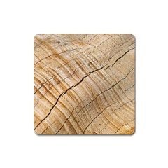 Abstract Brown Tree Timber Pattern Square Magnet by Sapixe