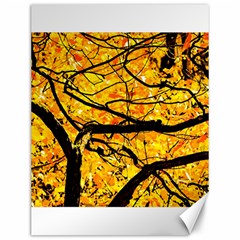 Golden Vein Canvas 12  X 16   by FunnyCow