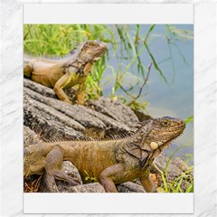 Iguanas At Shore Of River In Guayaqui, Ecuador Canvas 16  X 20   by dflcprints