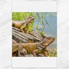 Iguanas At Shore Of River In Guayaqui, Ecuador Canvas 24  X 36  by dflcprints